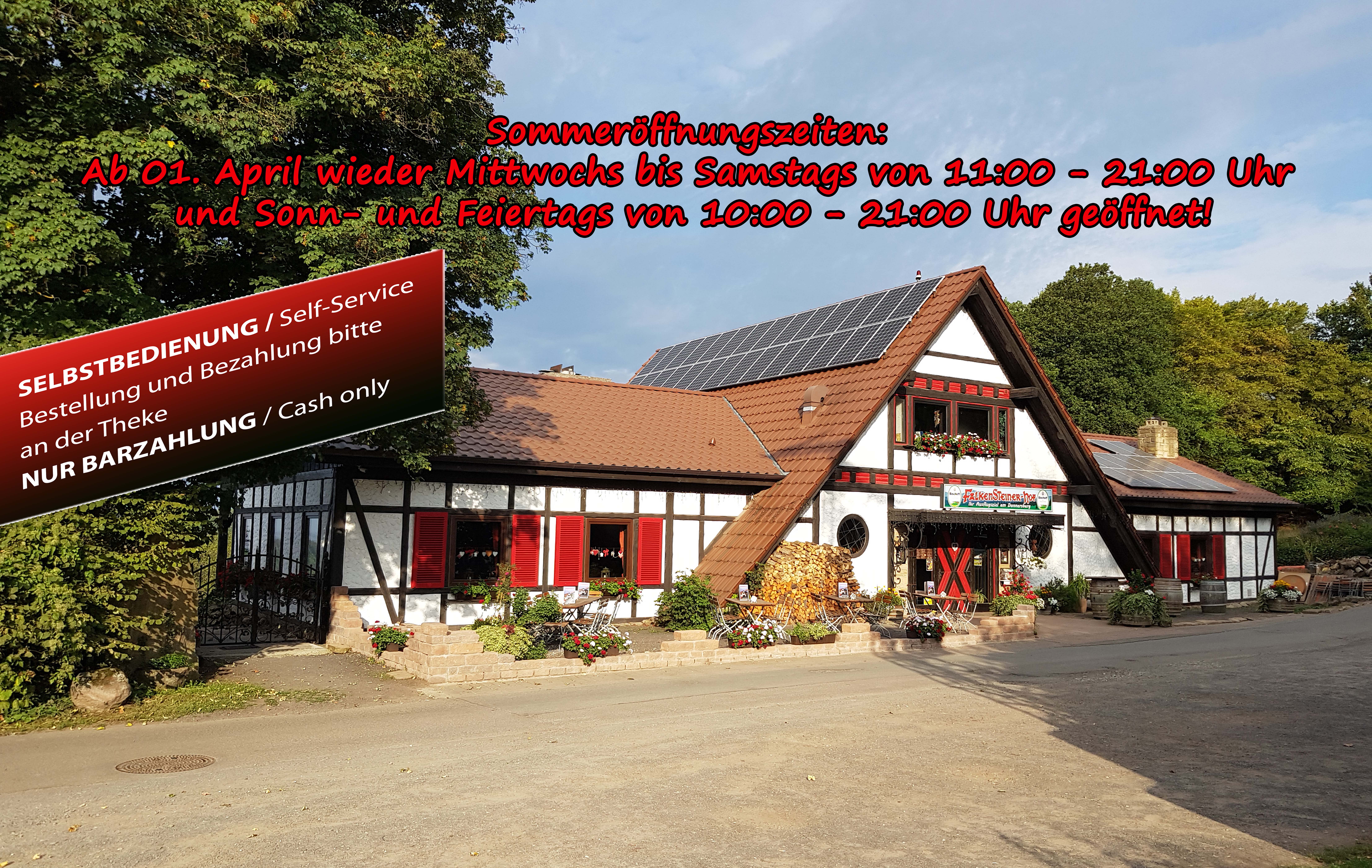 AnsichtHomepageSommer Kopie